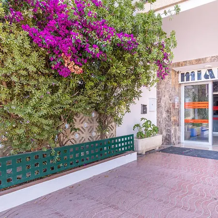 Basic Comfort Miami 17º 0110 Appartamento