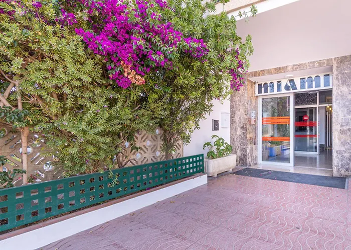 Basic Comfort Miami 17º 0110 Appartamento